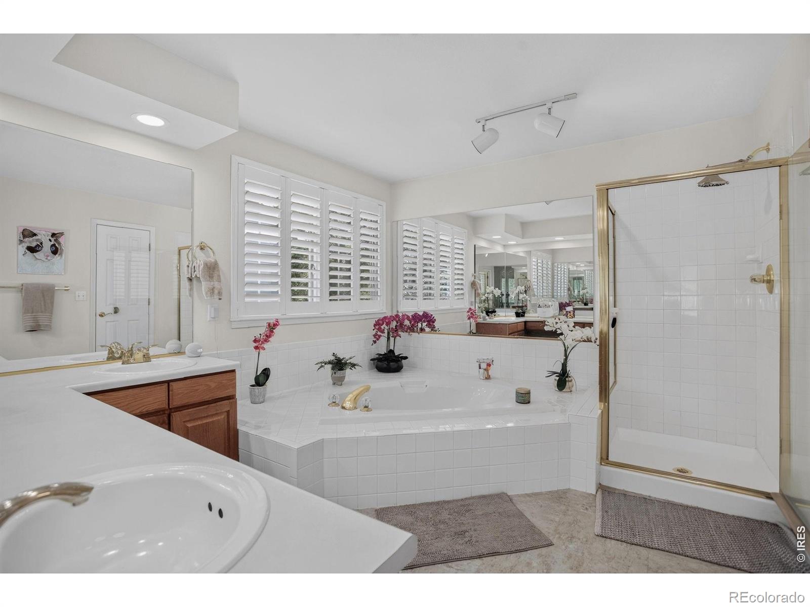 MLS Image #21 for 9440  melbourne drive,colorado springs, Colorado