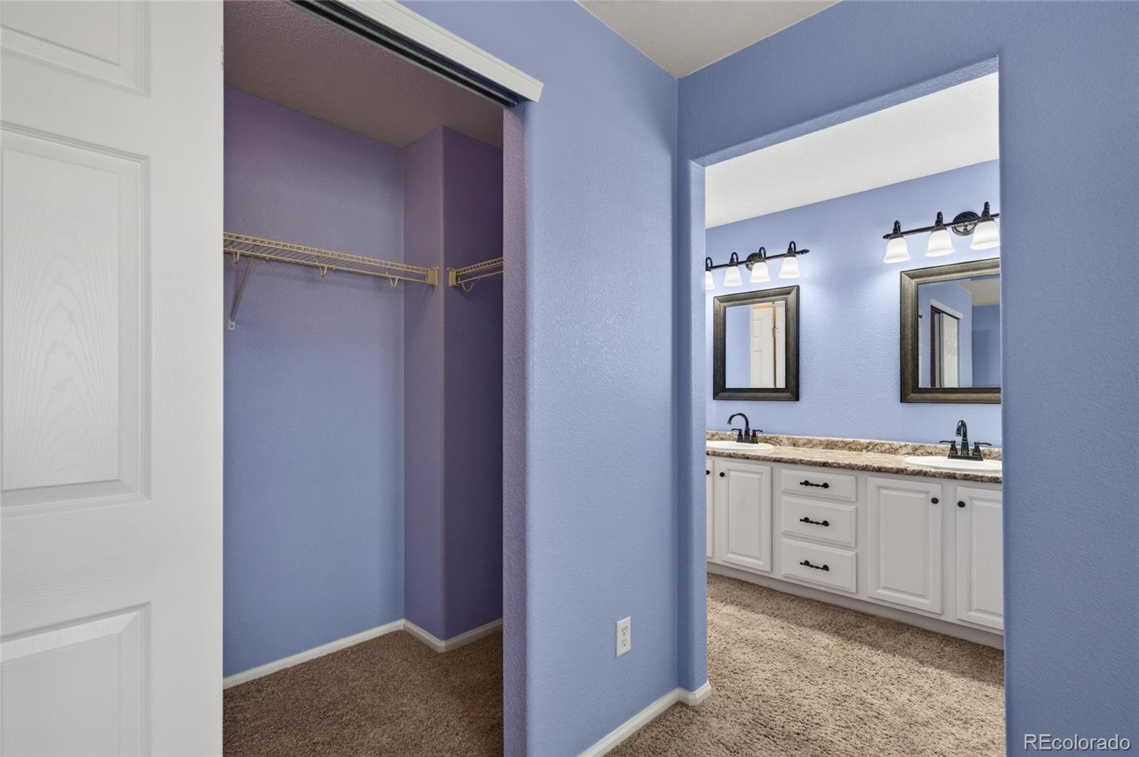 MLS Image #20 for 64  ellendale street,castle rock, Colorado