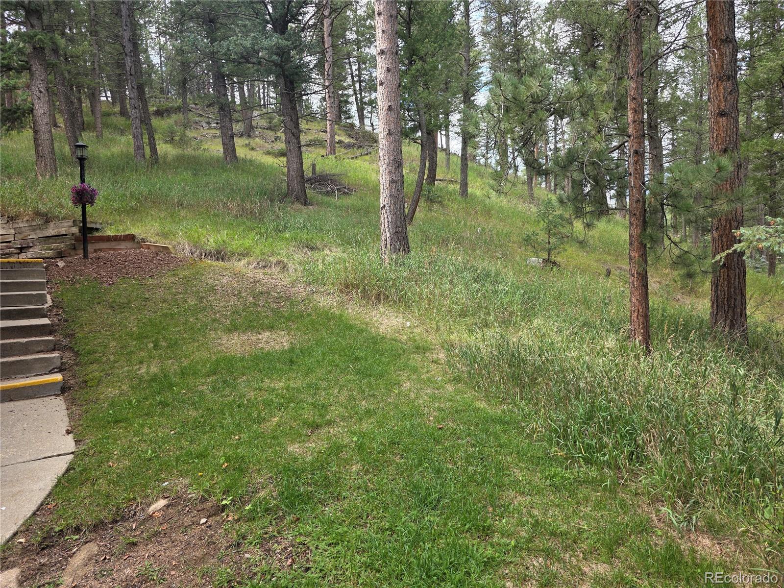 MLS Image #18 for 4897  silver spruce lane,evergreen, Colorado