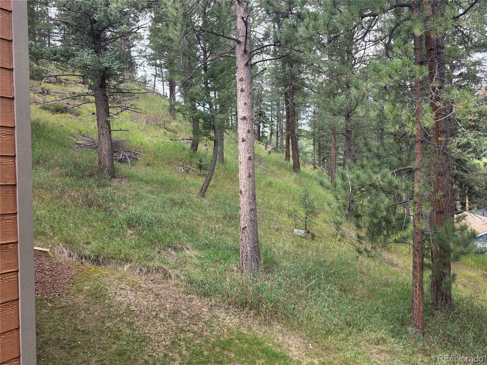 MLS Image #2 for 4897  silver spruce lane,evergreen, Colorado