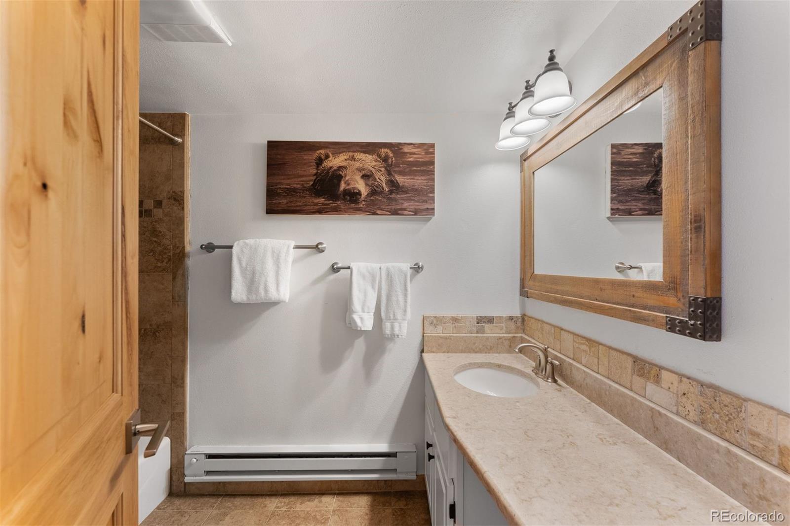 MLS Image #13 for 423  wild irishman road,dillon, Colorado