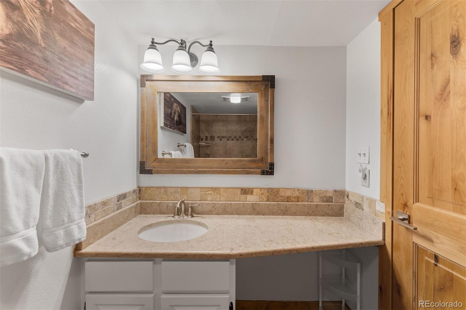 MLS Image #14 for 423  wild irishman road,dillon, Colorado