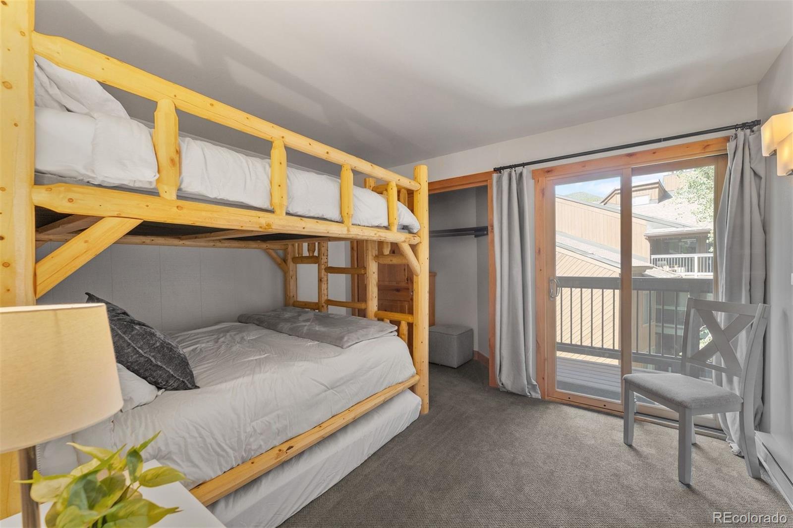 MLS Image #15 for 423  wild irishman road,dillon, Colorado