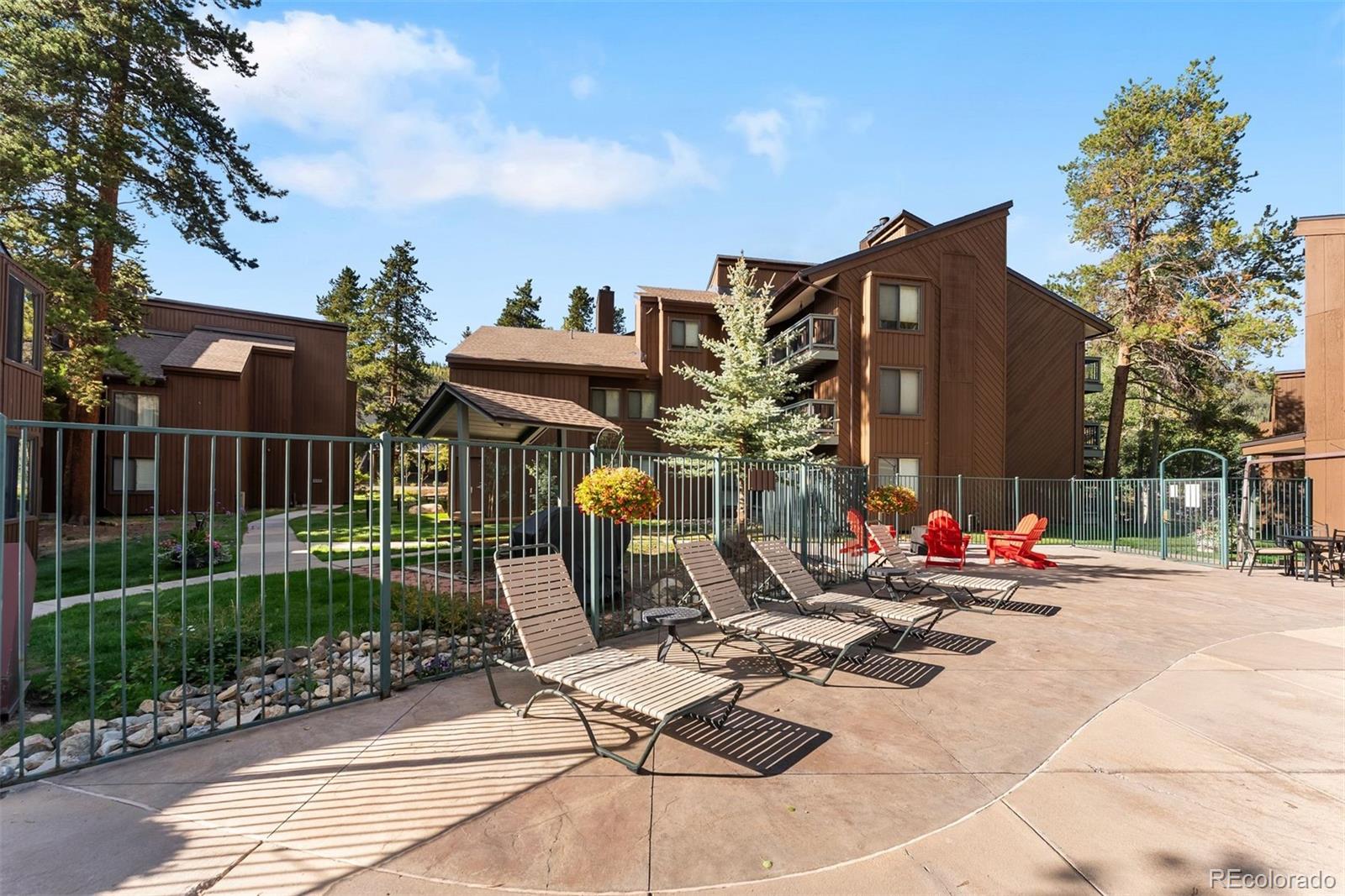 MLS Image #22 for 423  wild irishman road,dillon, Colorado