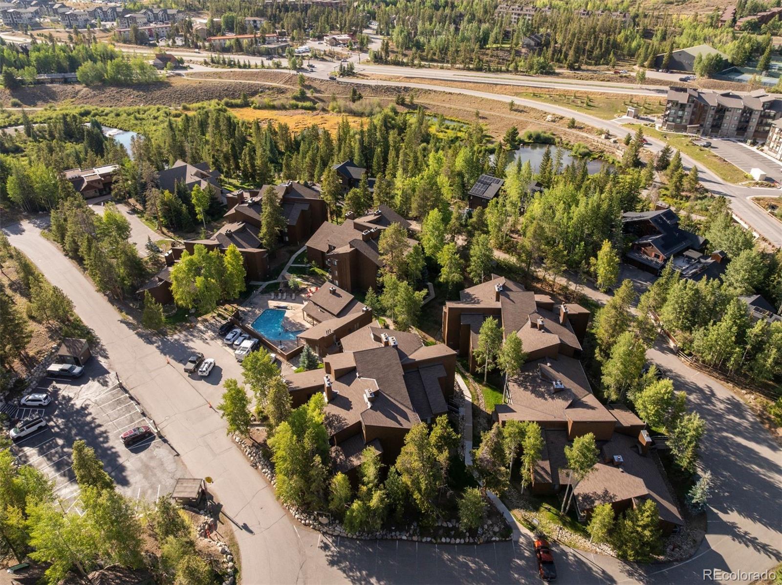 MLS Image #4 for 423  wild irishman road,dillon, Colorado