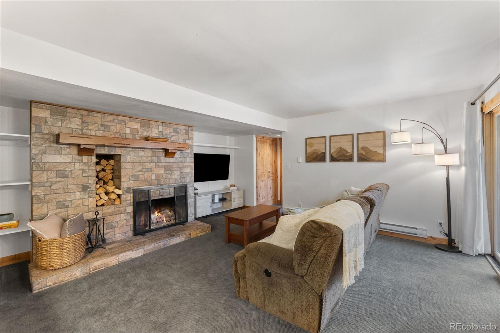MLS Image #6 for 423  wild irishman road,dillon, Colorado