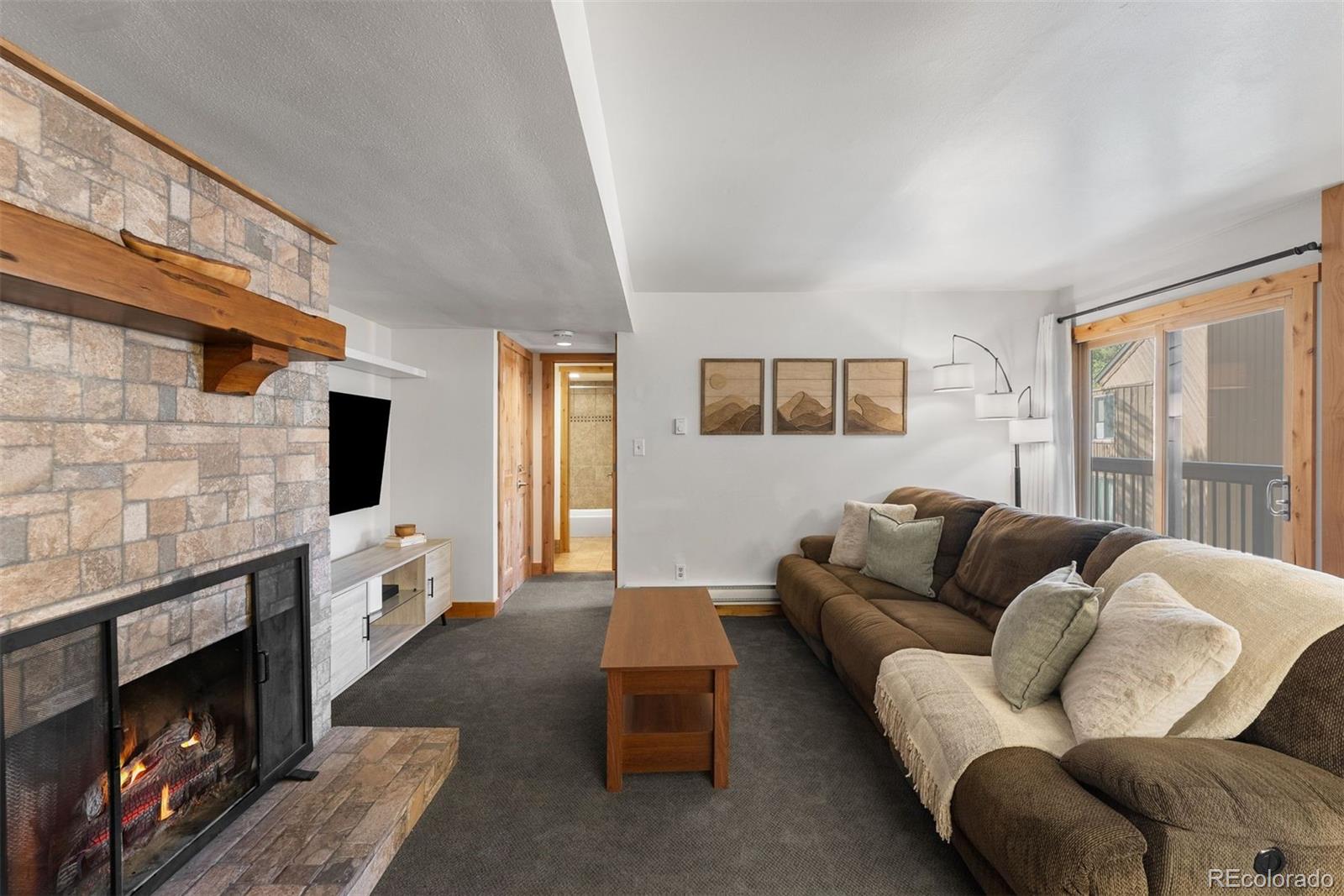 MLS Image #8 for 423  wild irishman road,dillon, Colorado