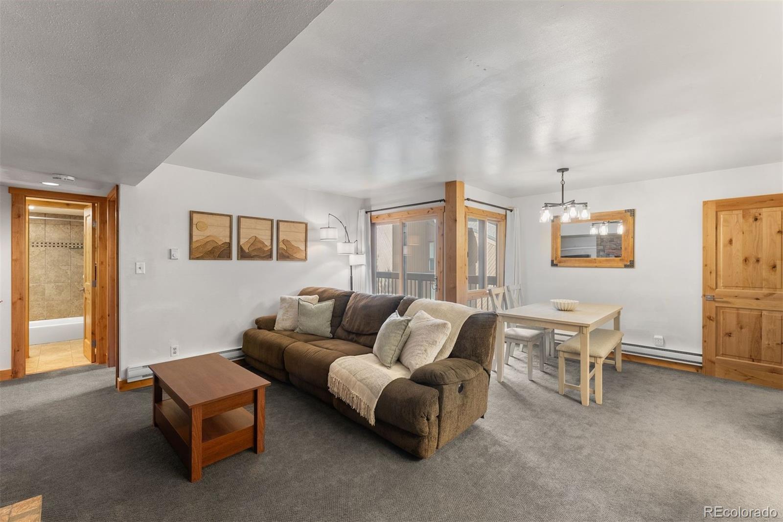 MLS Image #9 for 423  wild irishman road,dillon, Colorado