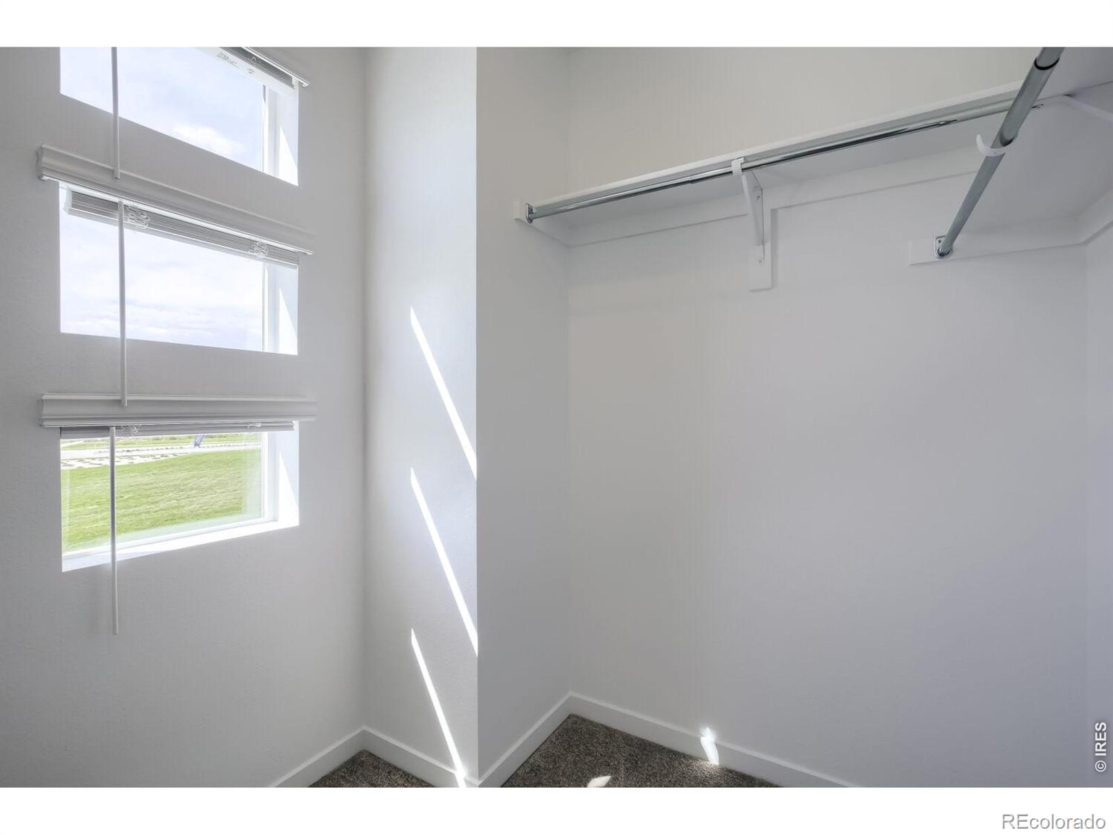 MLS Image #11 for 3053  gladstone avenue,loveland, Colorado
