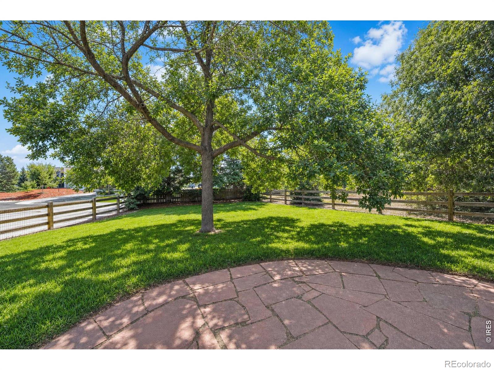 MLS Image #40 for 955  marfell street,erie, Colorado