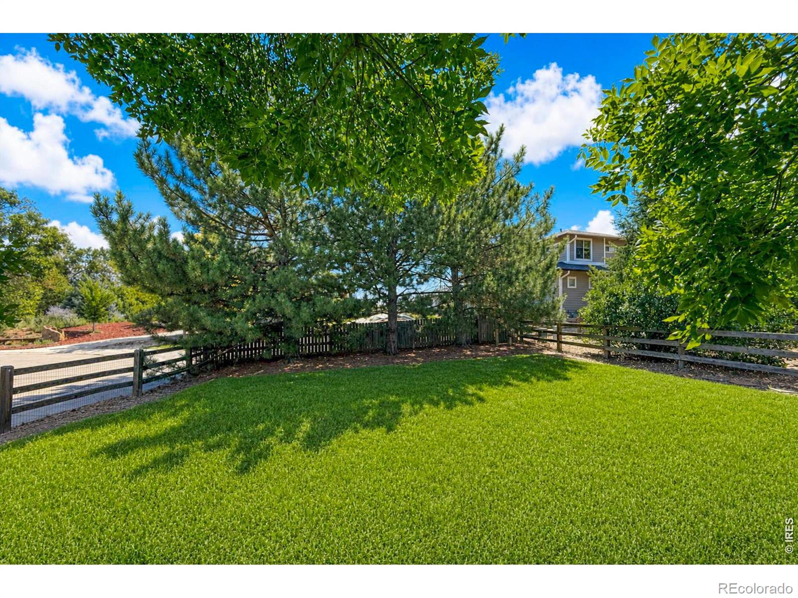 MLS Image #41 for 955  marfell street,erie, Colorado