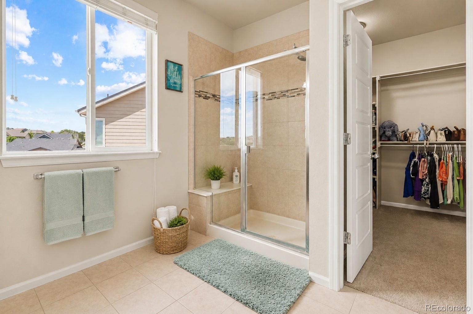 MLS Image #10 for 12291  coral burst court,parker, Colorado