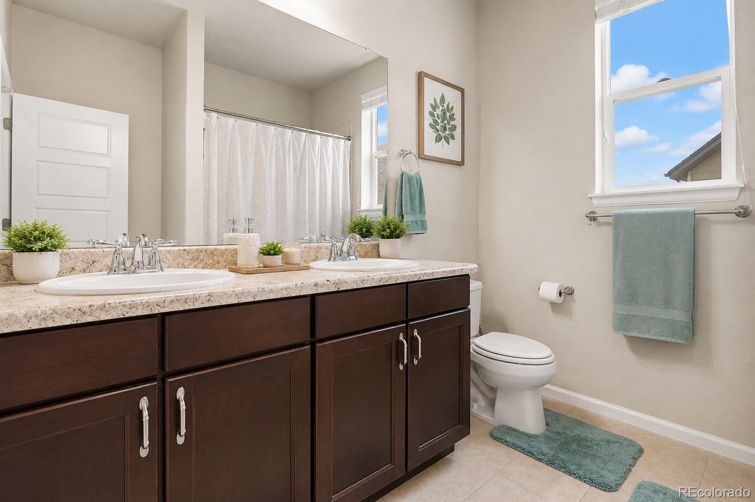 MLS Image #16 for 12291  coral burst court,parker, Colorado