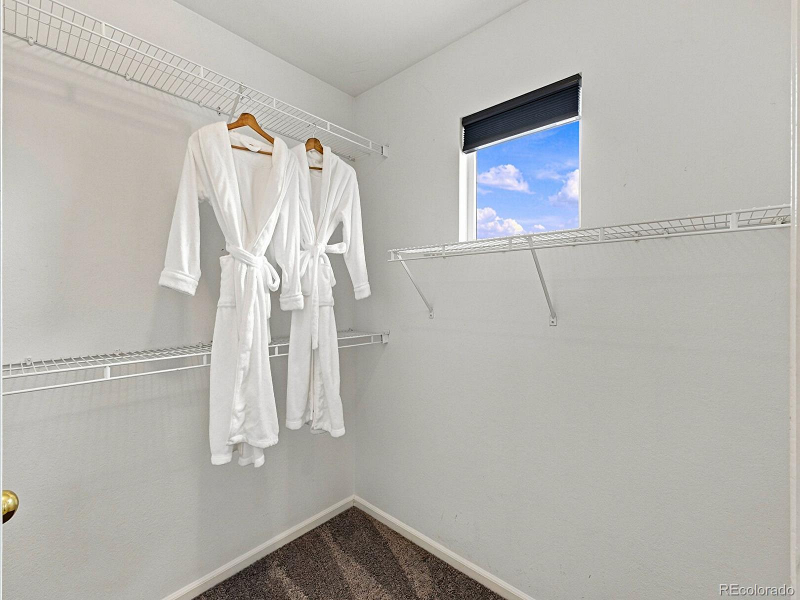 MLS Image #15 for 7183  dome rock road,littleton, Colorado