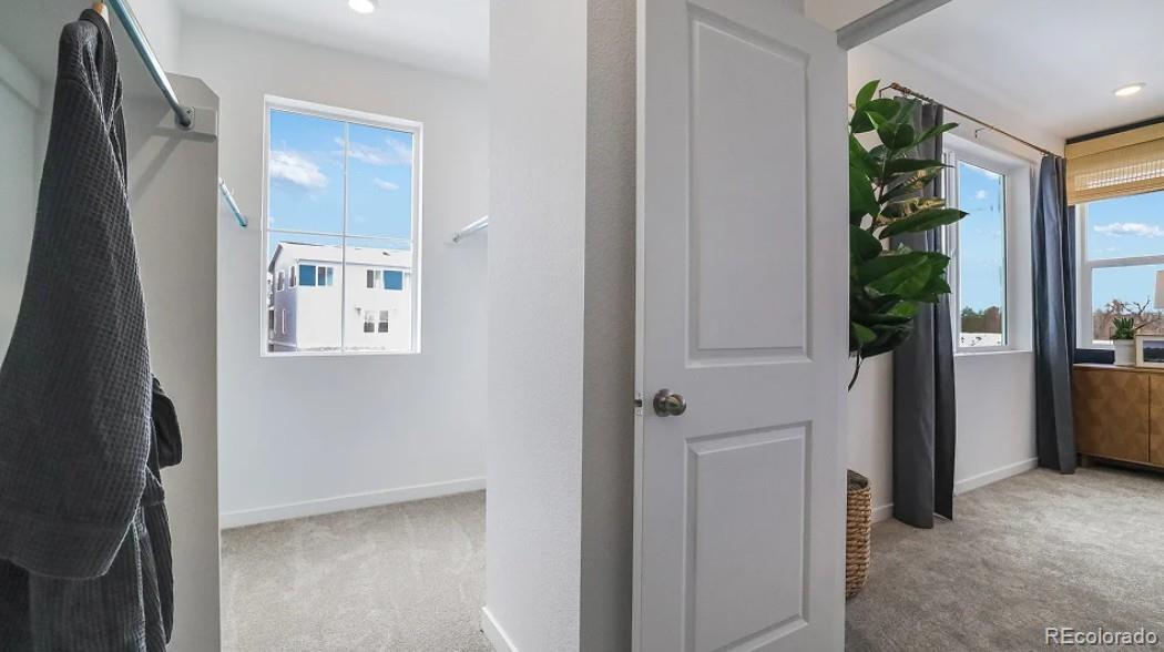 MLS Image #11 for 15571  gilpin avenue,parker, Colorado