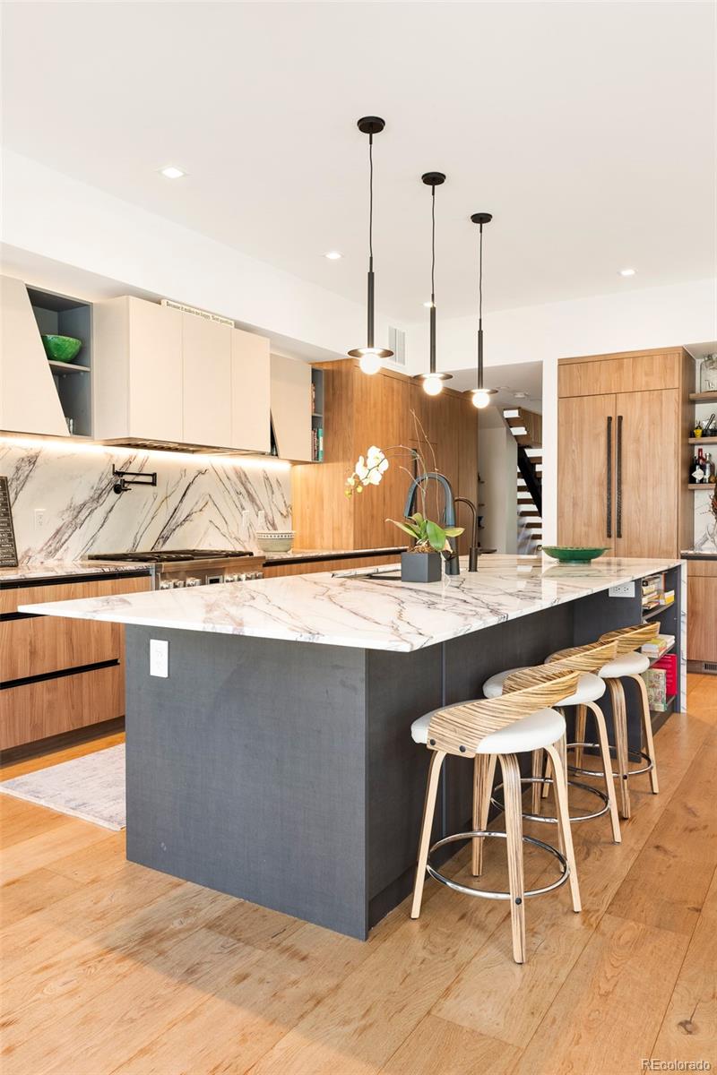MLS Image #15 for 431  elm street,denver, Colorado