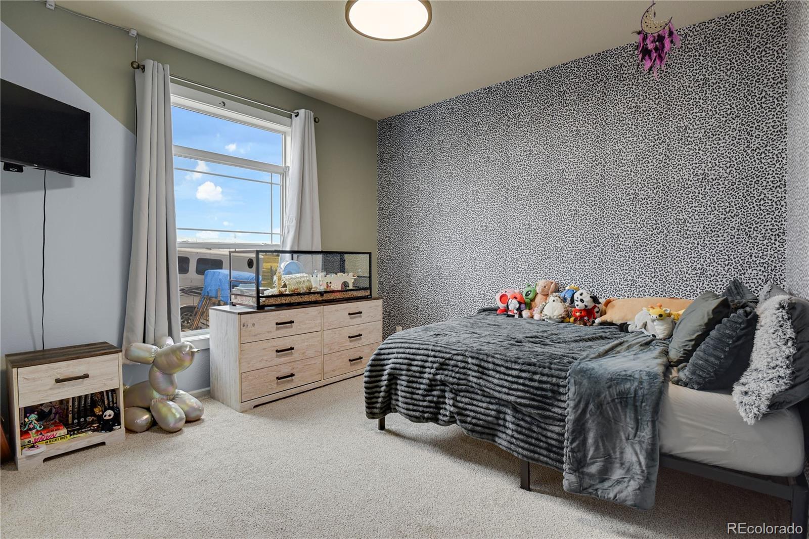 MLS Image #20 for 4605  windmill flats court,peyton, Colorado