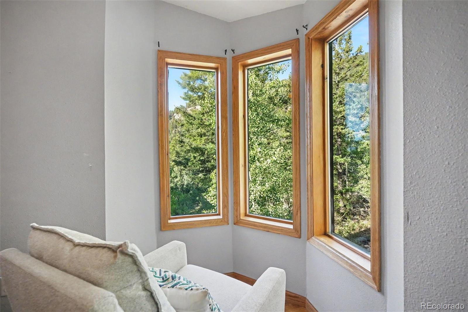 MLS Image #9 for 31478  kings valley ,conifer, Colorado