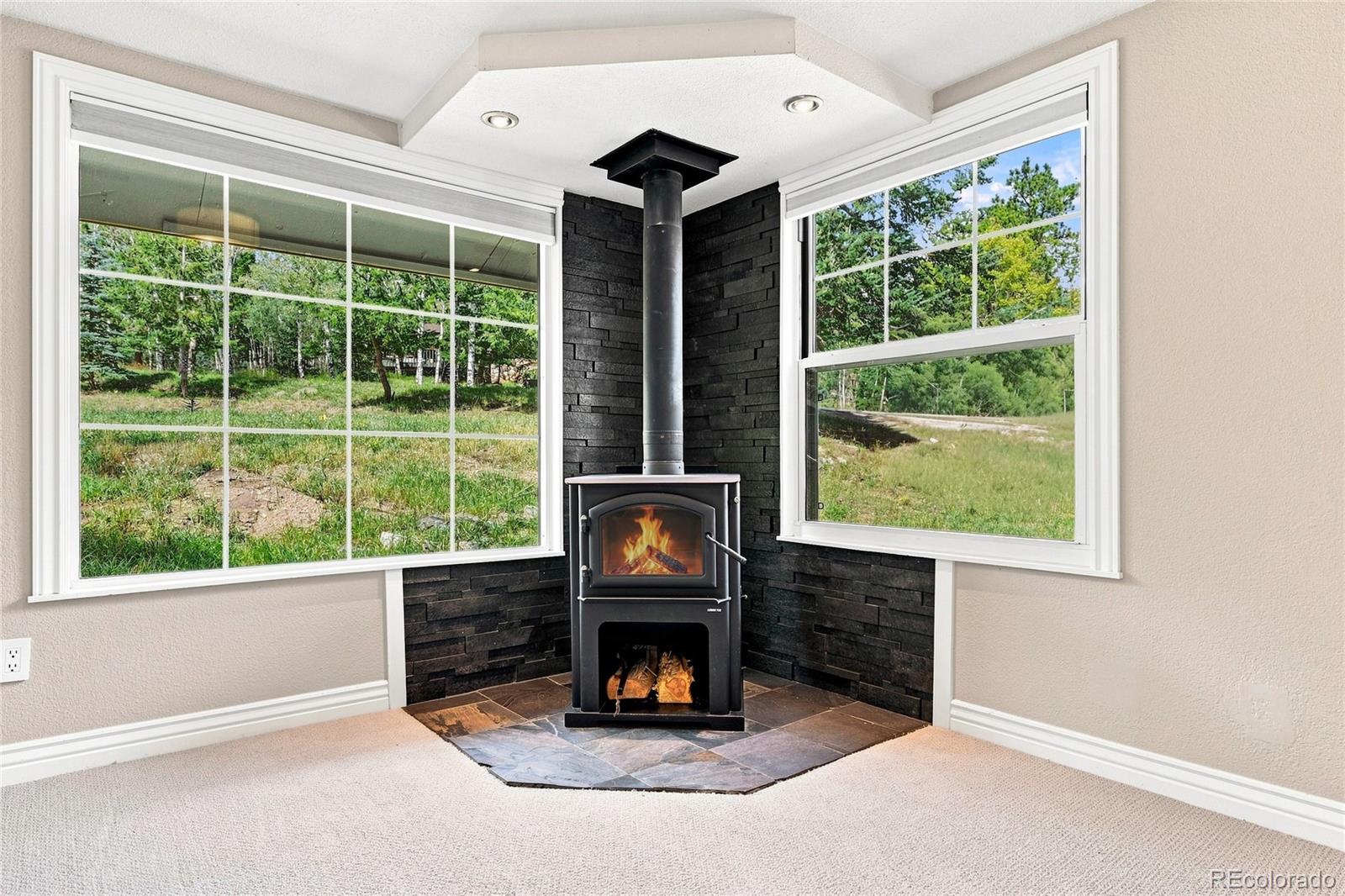 MLS Image #10 for 1126  pine valley road,evergreen, Colorado