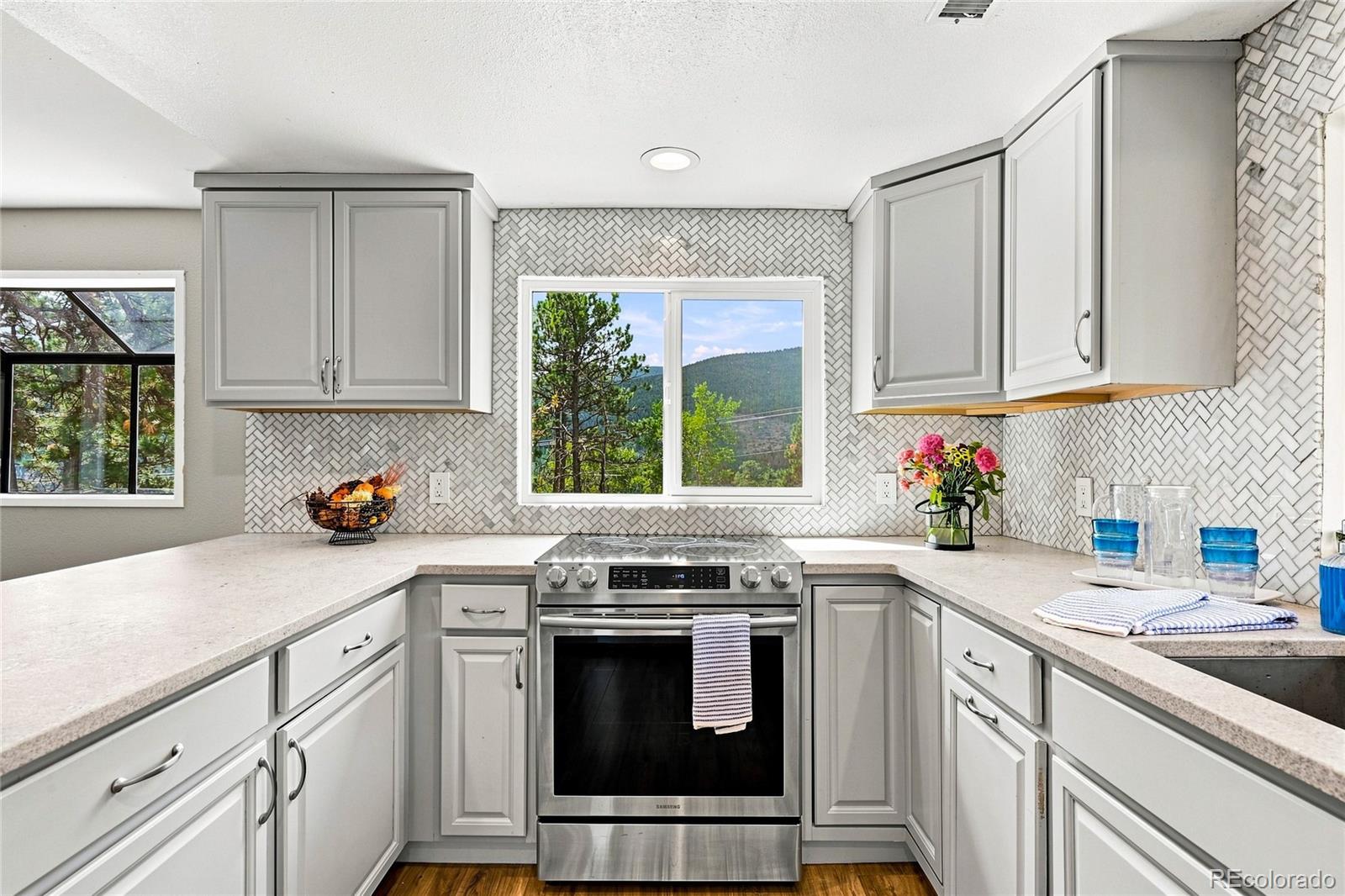 MLS Image #5 for 1126  pine valley road,evergreen, Colorado
