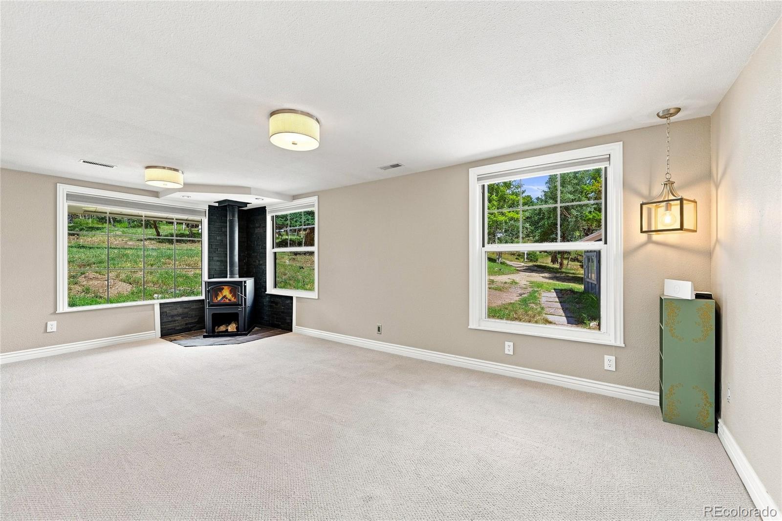 MLS Image #9 for 1126  pine valley road,evergreen, Colorado