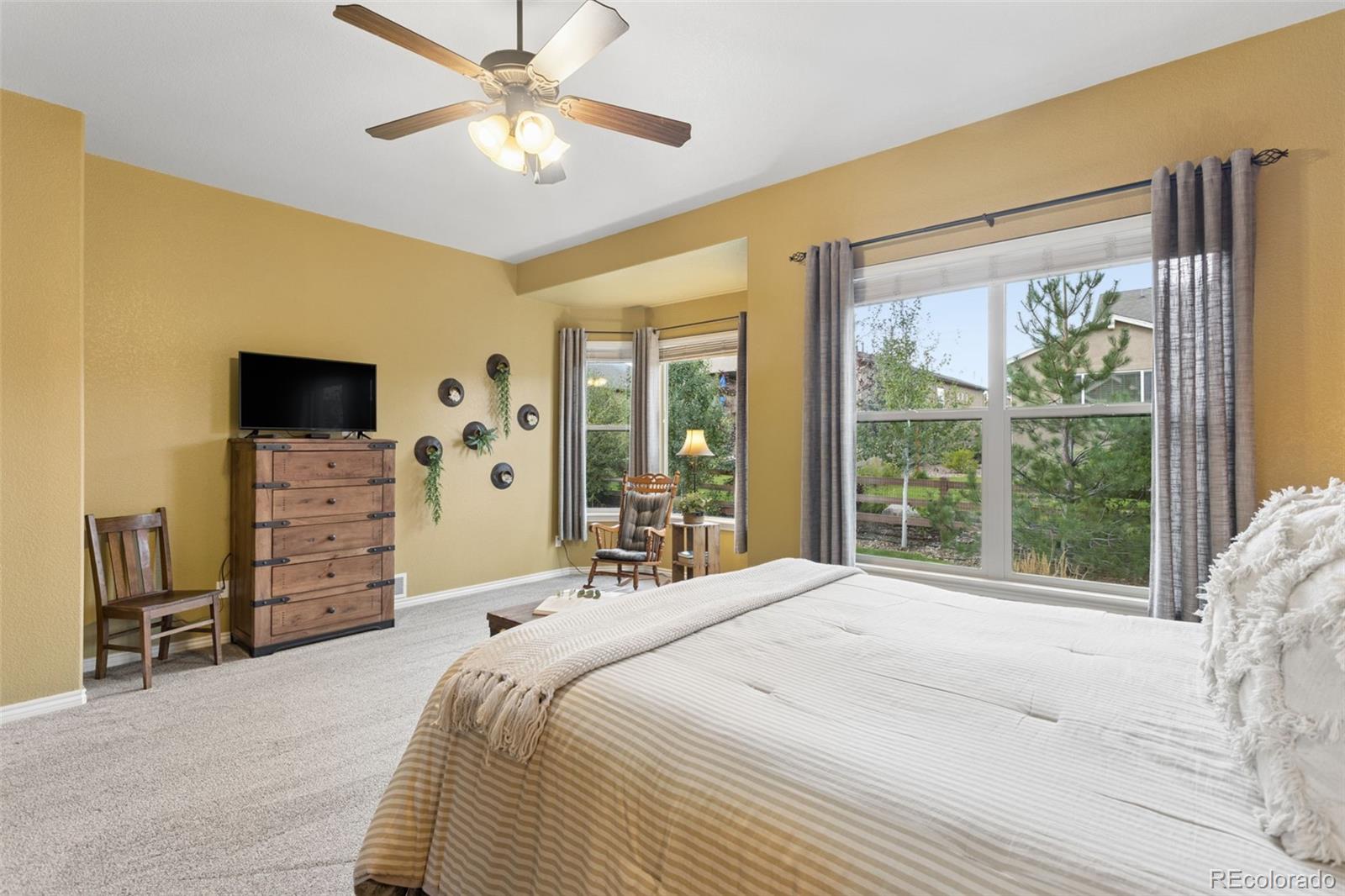 MLS Image #21 for 6284  revelstoke drive,colorado springs, Colorado