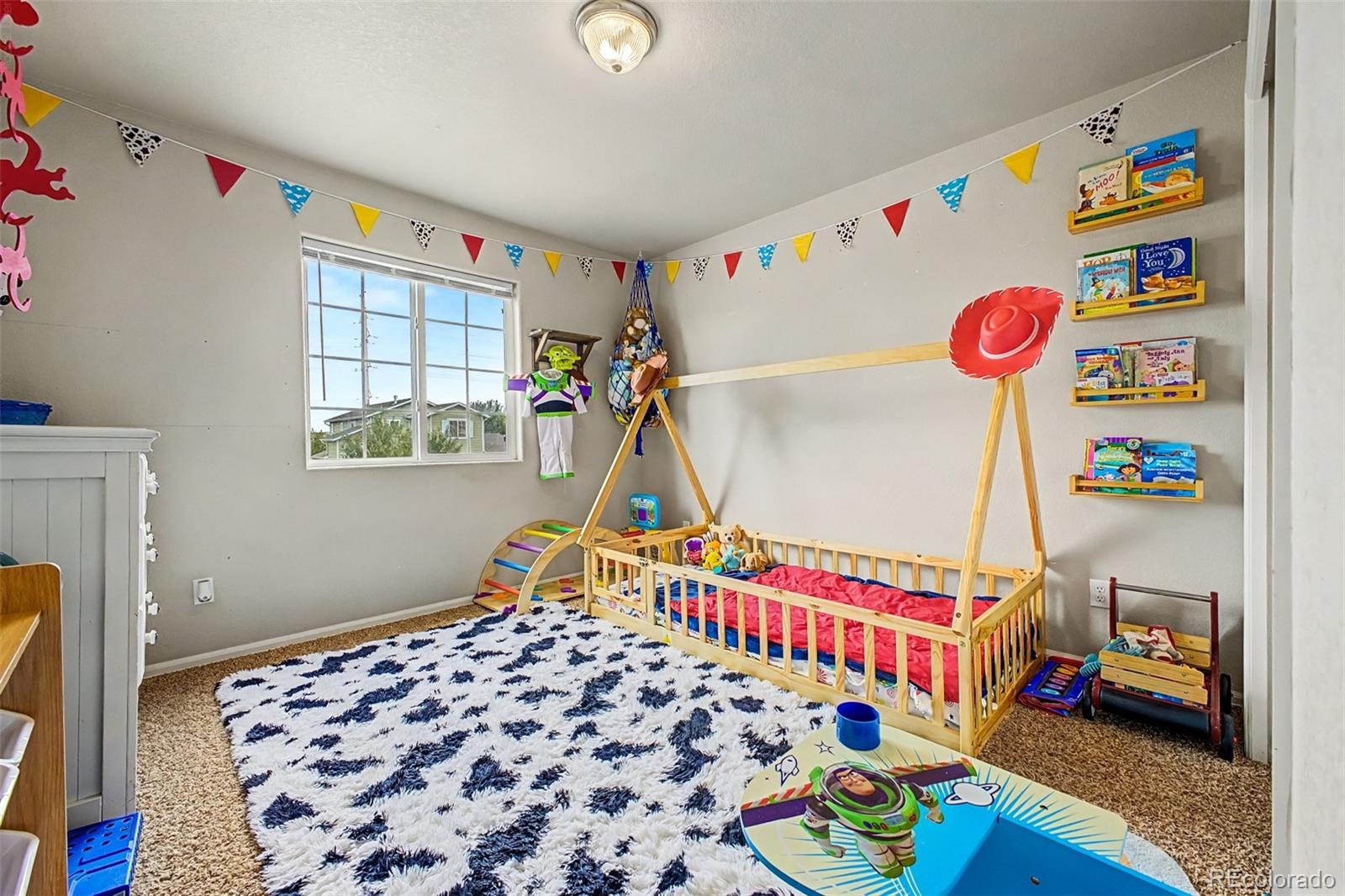 MLS Image #21 for 2220  inspiration lane,pueblo, Colorado