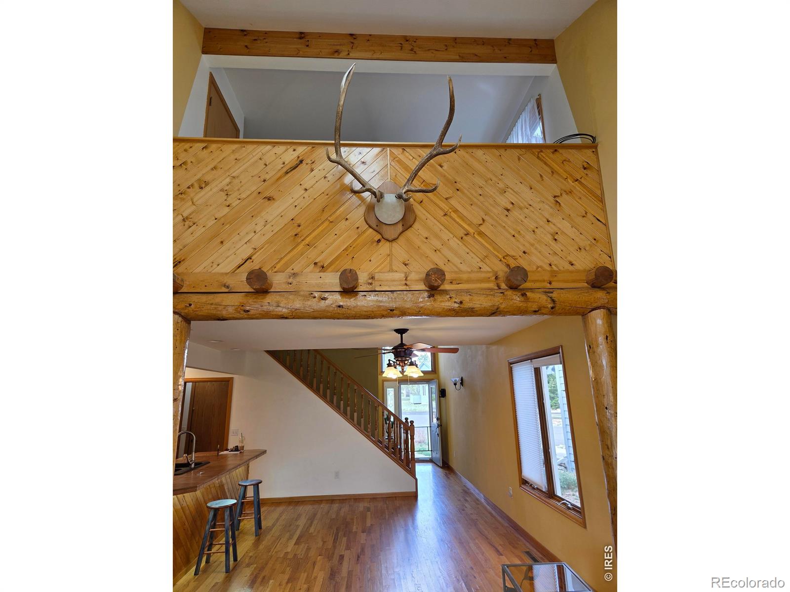 MLS Image #11 for 1442  raven circle,estes park, Colorado