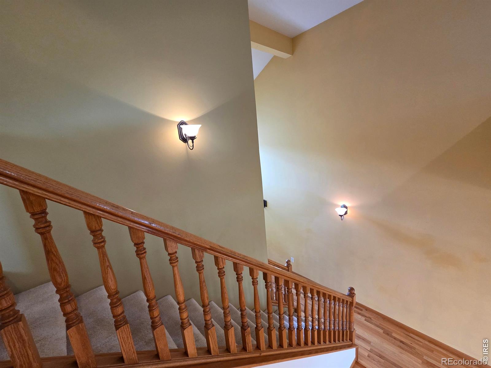 MLS Image #12 for 1442  raven circle,estes park, Colorado