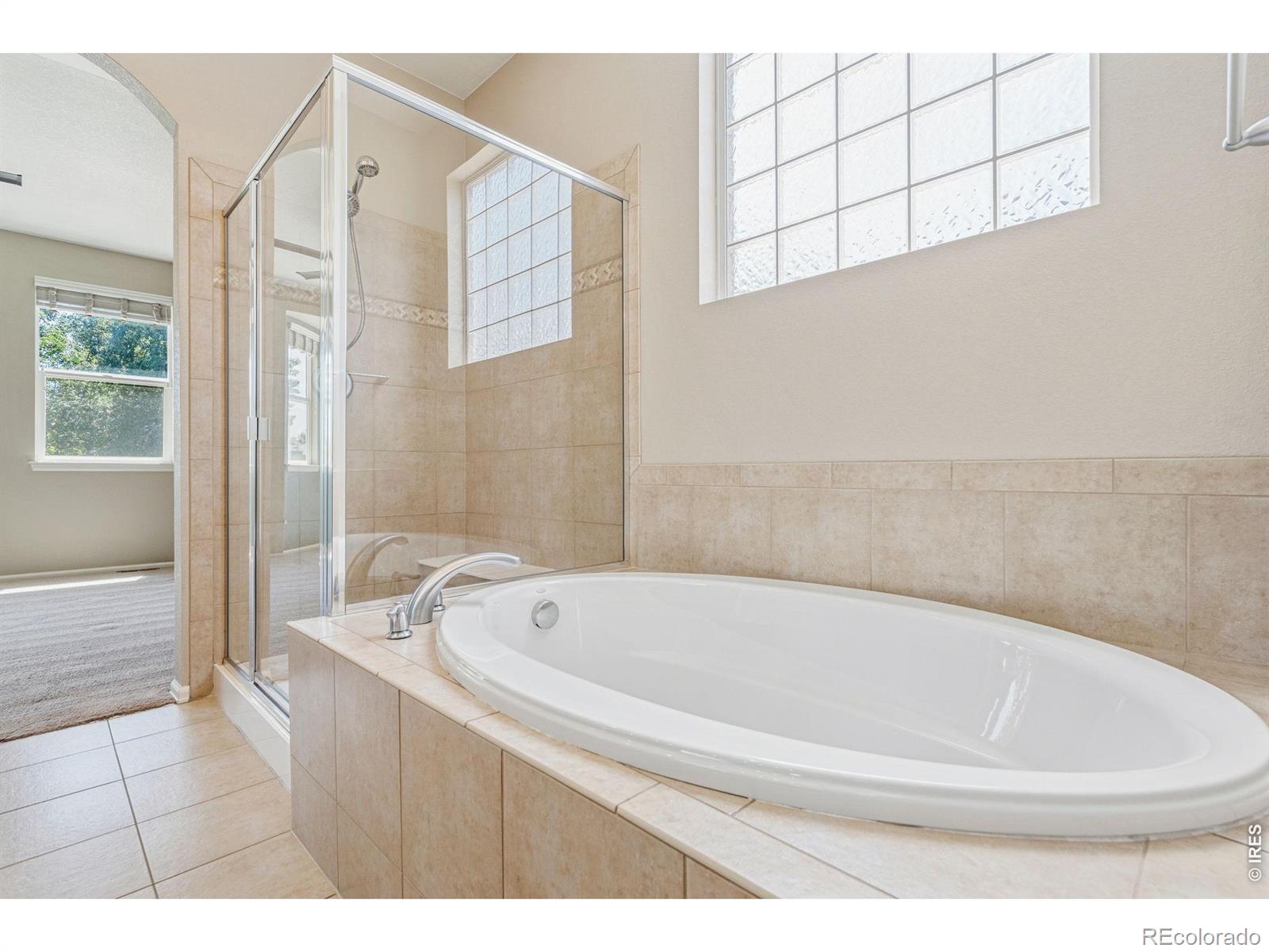 MLS Image #27 for 101  siesta key court,windsor, Colorado