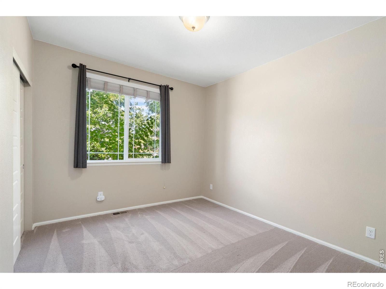 MLS Image #28 for 101  siesta key court,windsor, Colorado