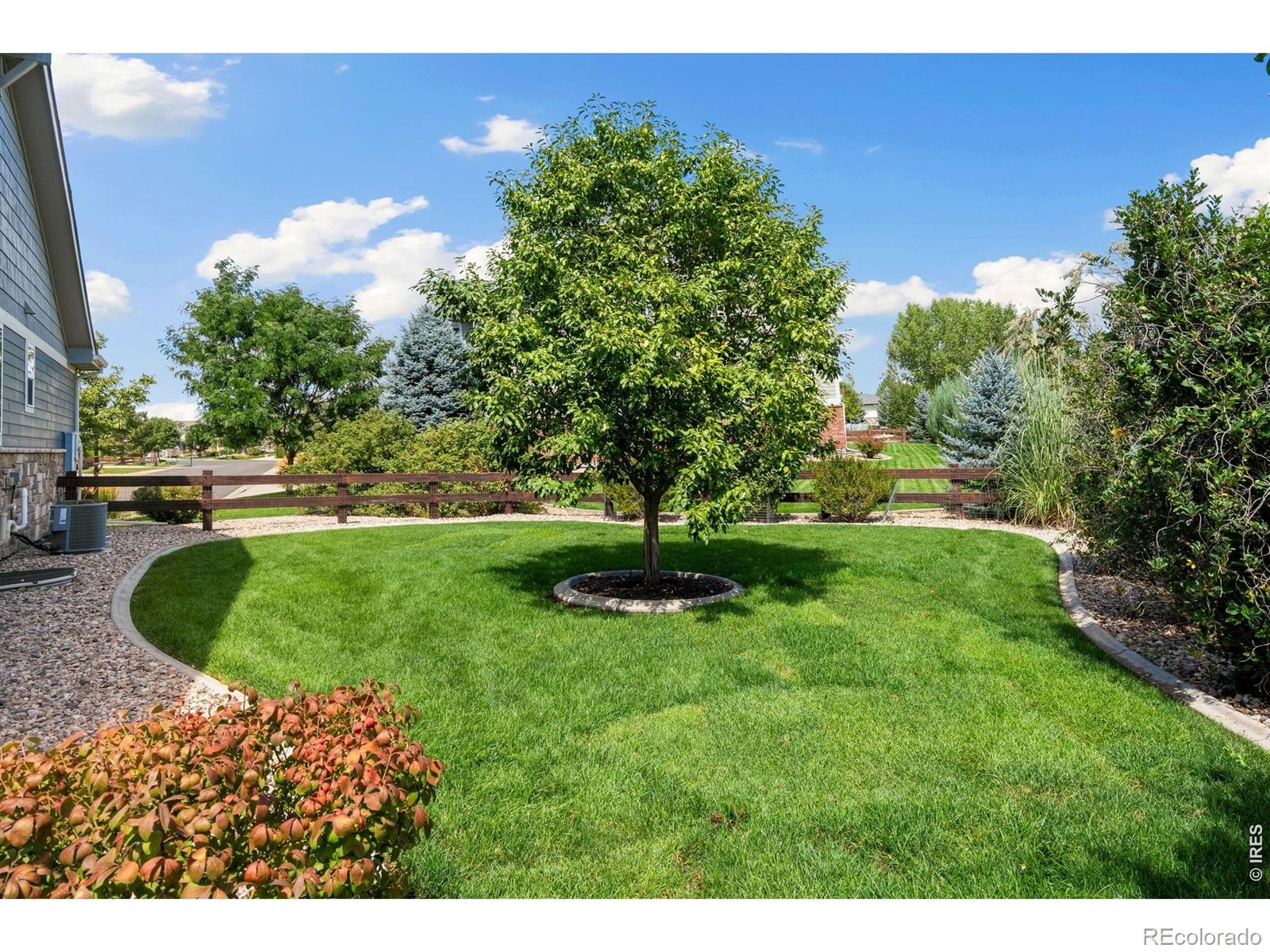MLS Image #37 for 101  siesta key court,windsor, Colorado