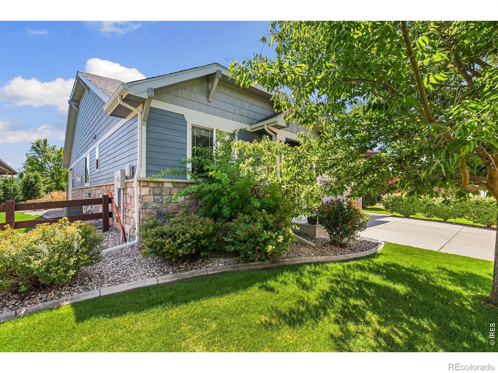 MLS Image #4 for 101  siesta key court,windsor, Colorado