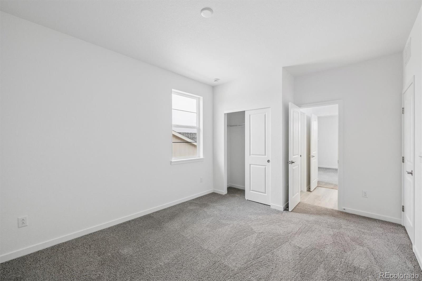 MLS Image #17 for 3777  emerald shore circle,loveland, Colorado