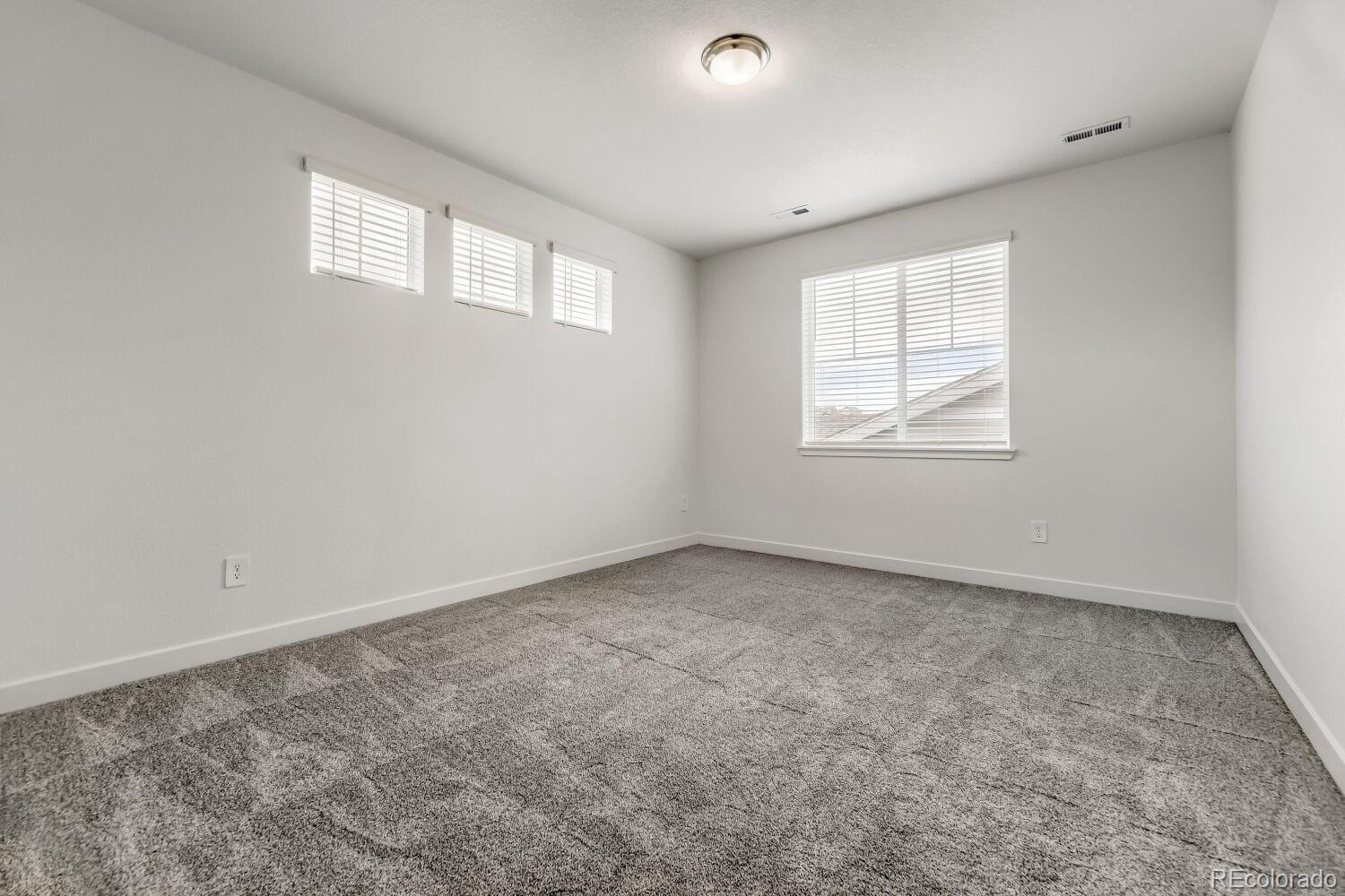 MLS Image #9 for 4188  buttongrass trail,castle rock, Colorado
