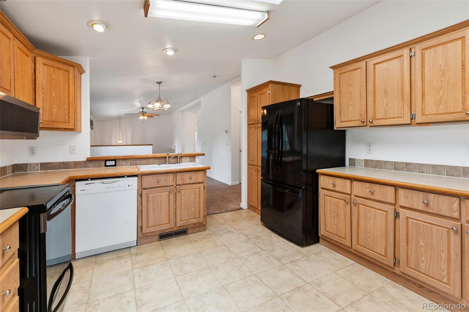 MLS Image #10 for 46  kingston circle,florissant, Colorado