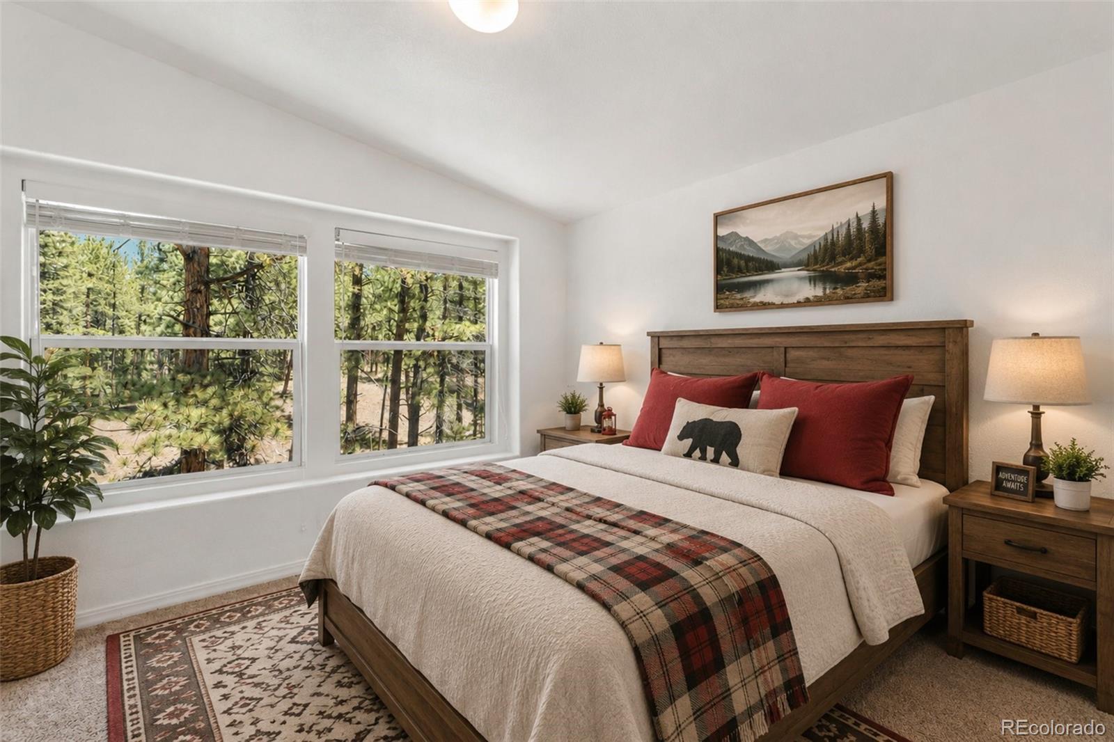 MLS Image #19 for 46  kingston circle,florissant, Colorado