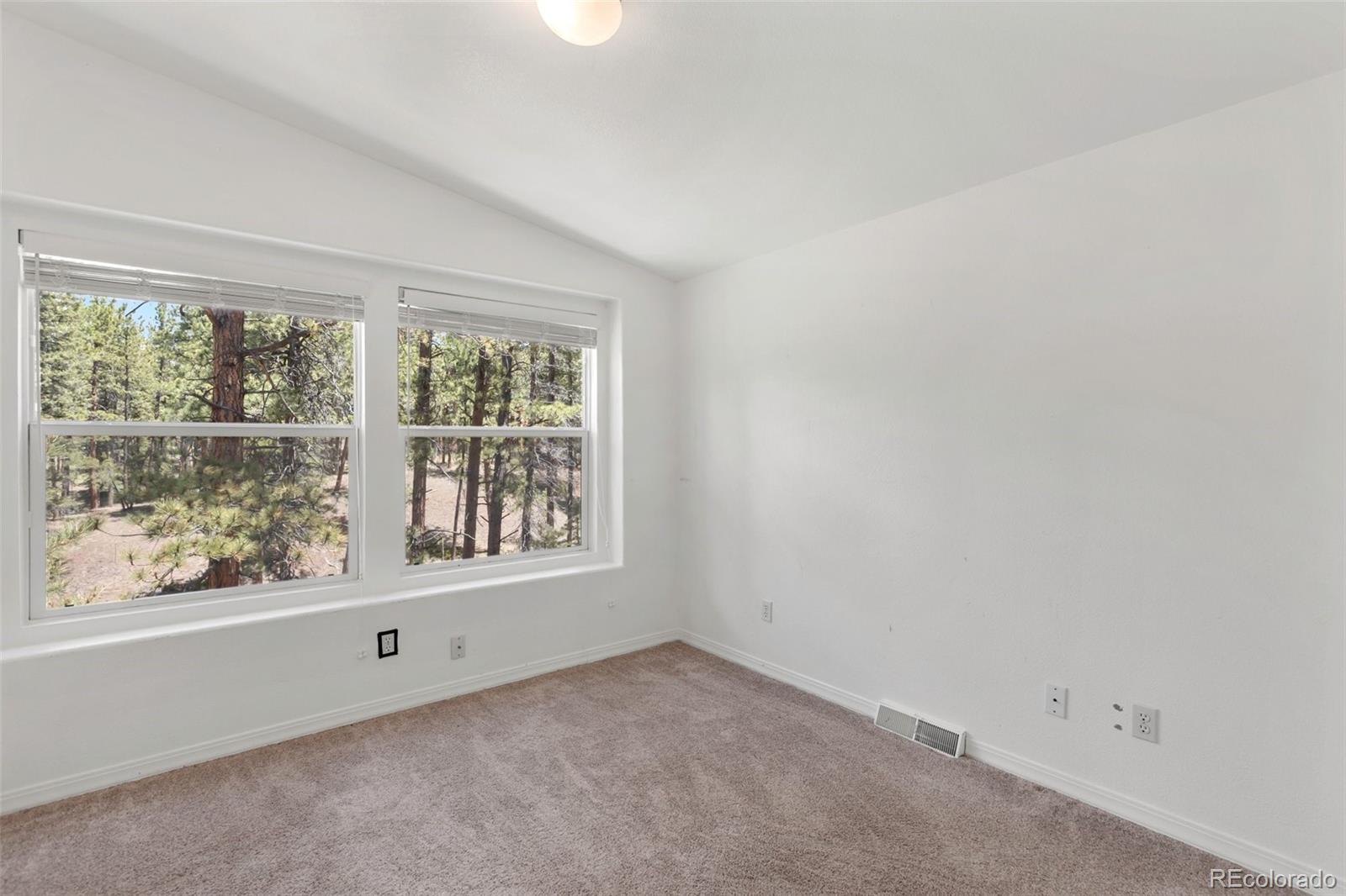 MLS Image #20 for 46  kingston circle,florissant, Colorado