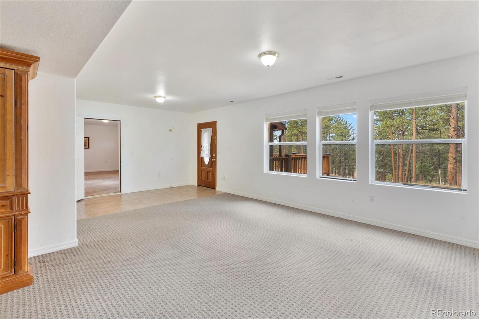 MLS Image #27 for 46  kingston circle,florissant, Colorado