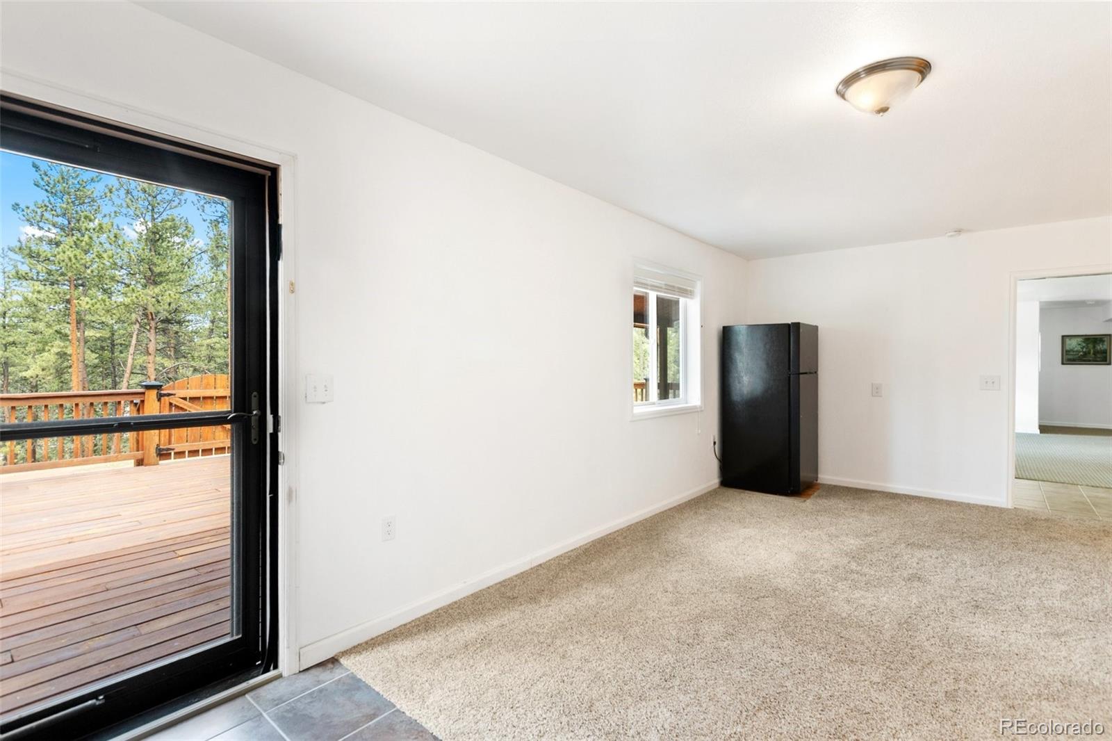 MLS Image #28 for 46  kingston circle,florissant, Colorado
