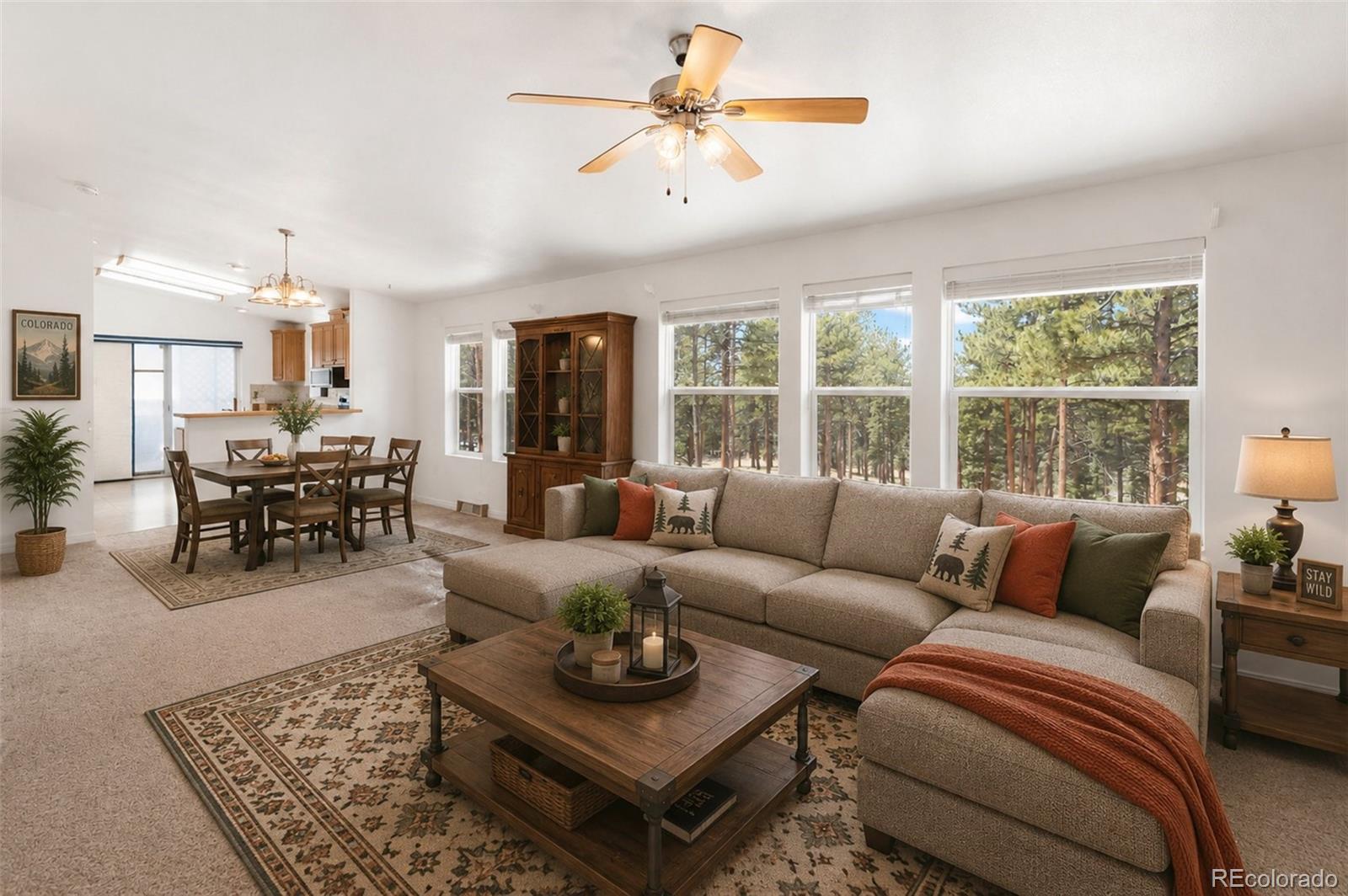 MLS Image #4 for 46  kingston circle,florissant, Colorado