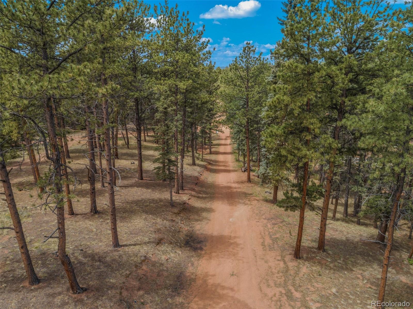 MLS Image #48 for 46  kingston circle,florissant, Colorado