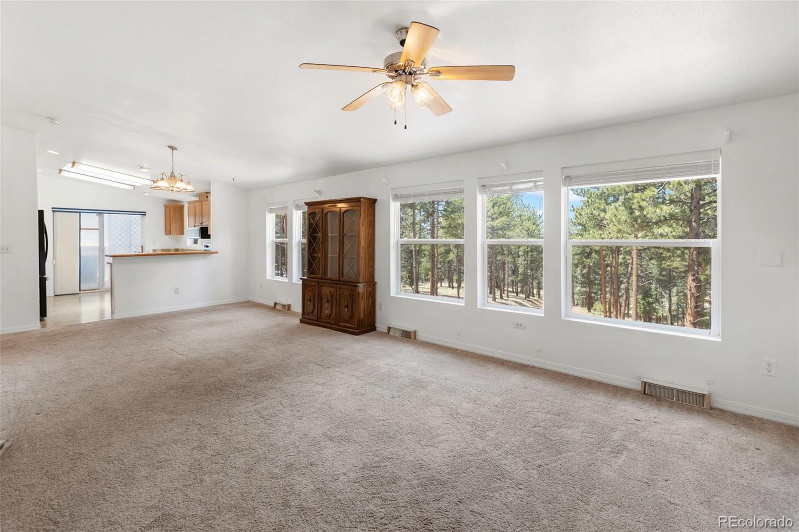 MLS Image #5 for 46  kingston circle,florissant, Colorado