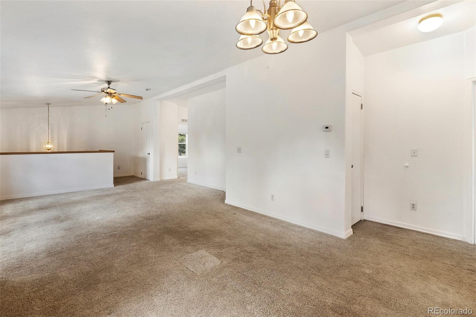 MLS Image #6 for 46  kingston circle,florissant, Colorado