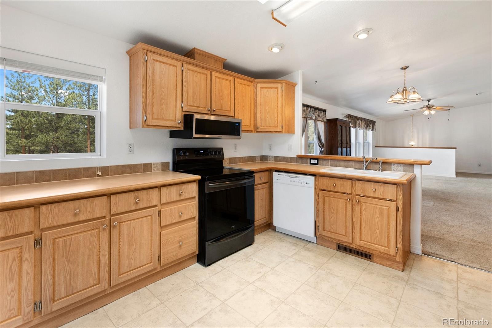 MLS Image #8 for 46  kingston circle,florissant, Colorado