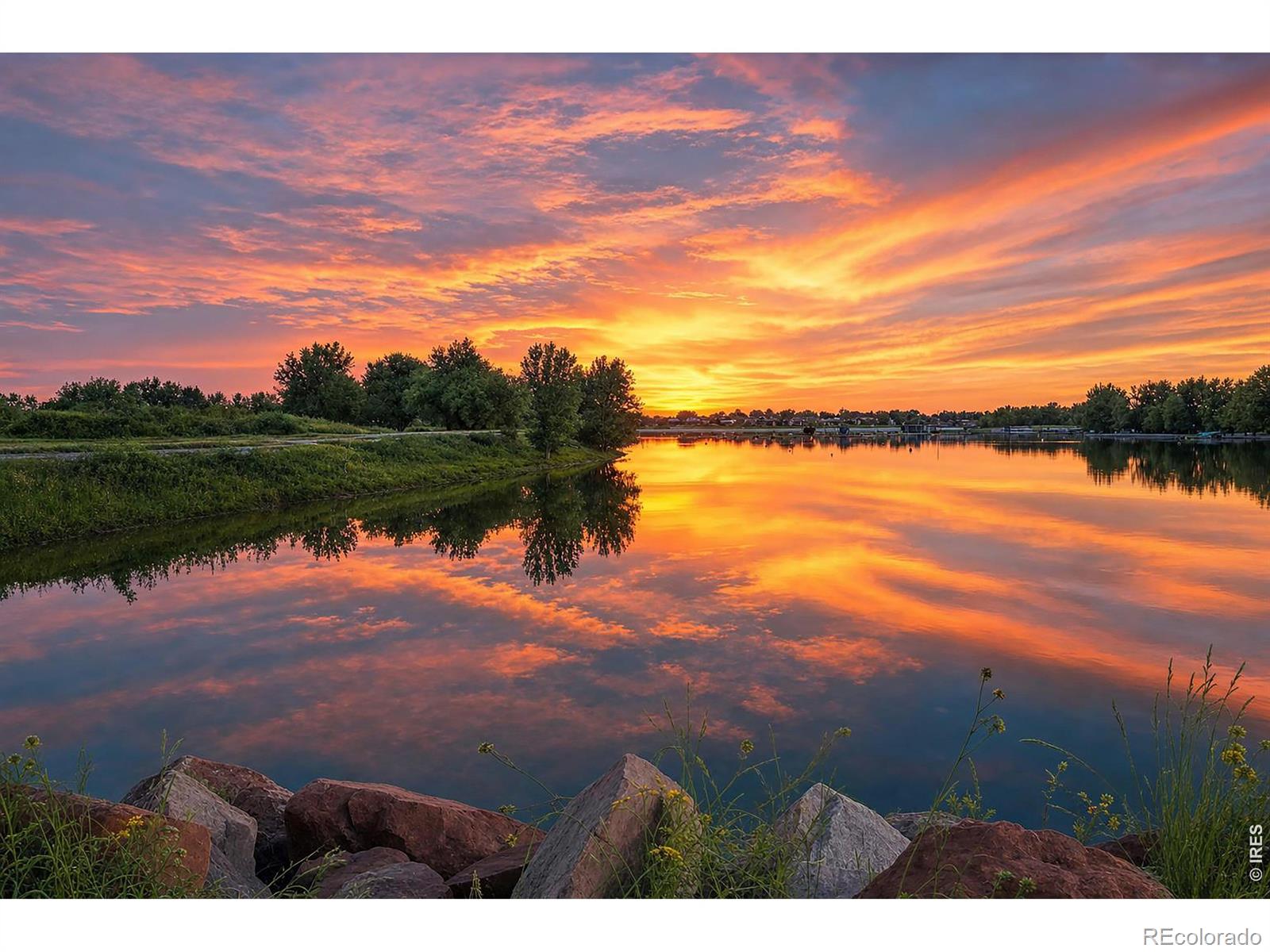 MLS Image #49 for 4462  chaplin creek court,loveland, Colorado