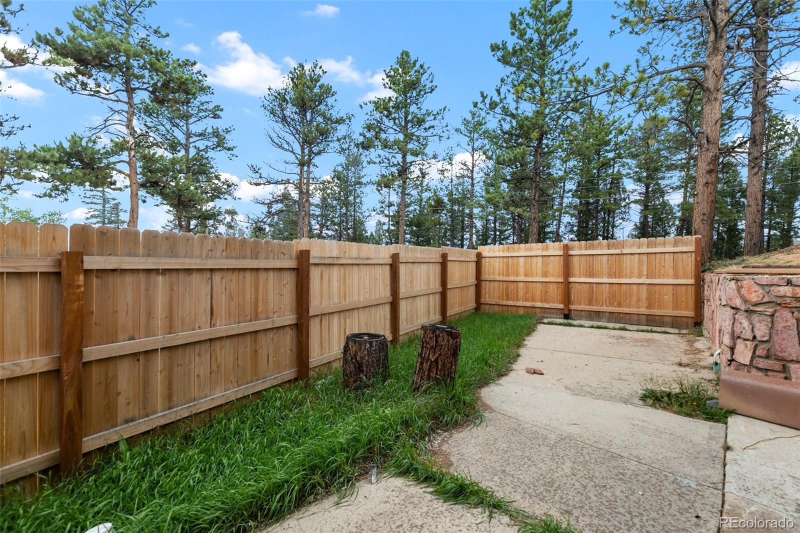 MLS Image #22 for 300  ute trail,woodland park, Colorado