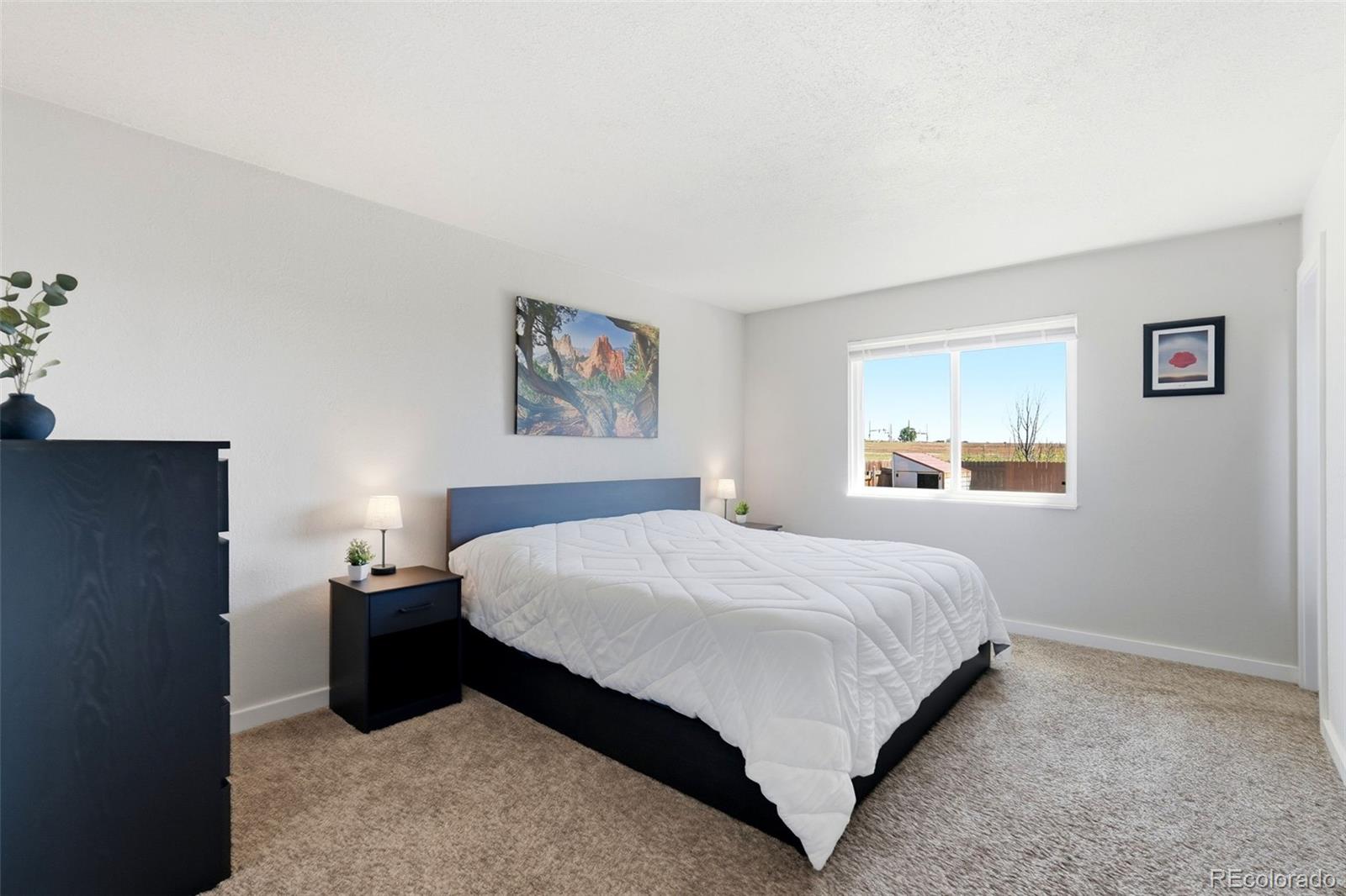 MLS Image #25 for 6635  brook forest drive,colorado springs, Colorado
