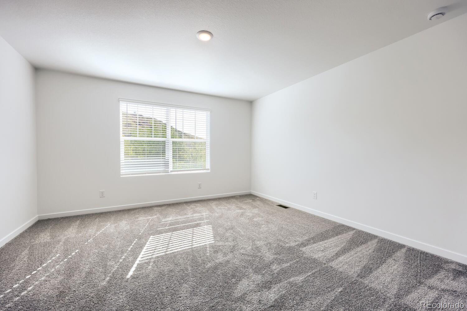MLS Image #5 for 2664  lower crags point,colorado springs, Colorado
