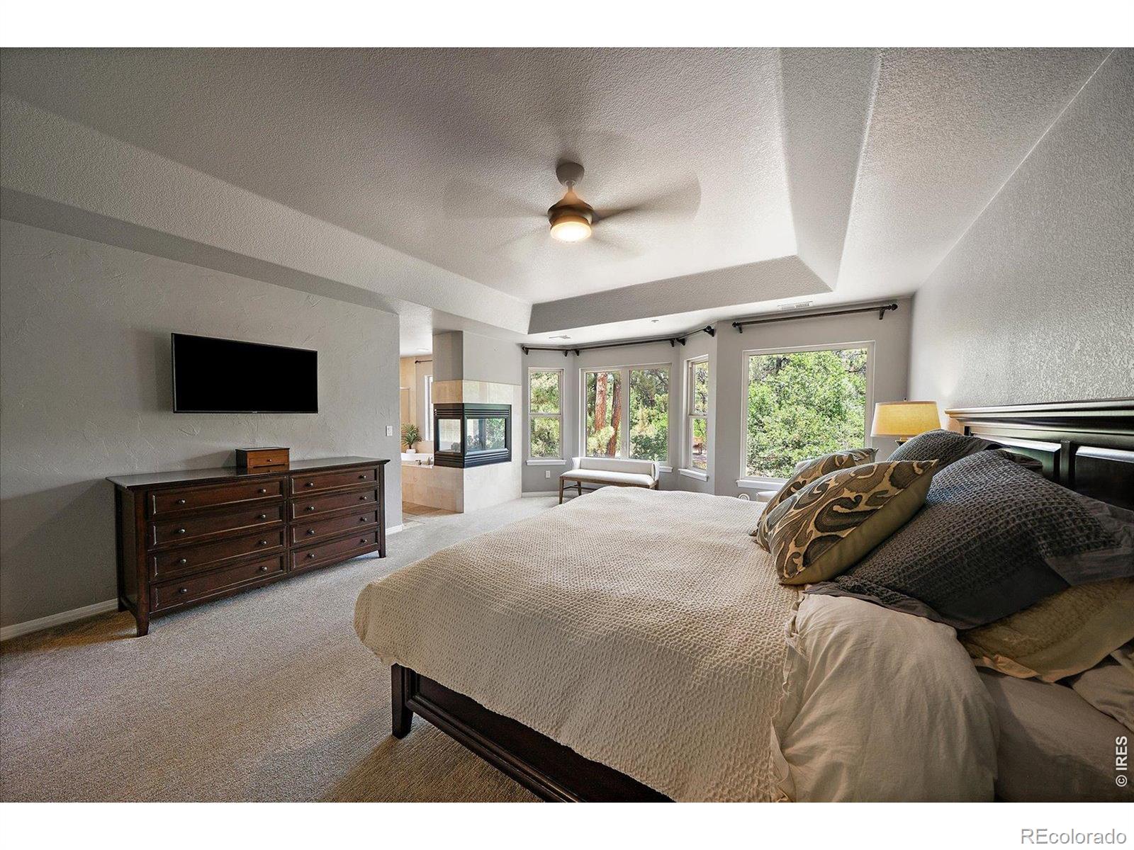 MLS Image #19 for 492  tolland drive,castle rock, Colorado